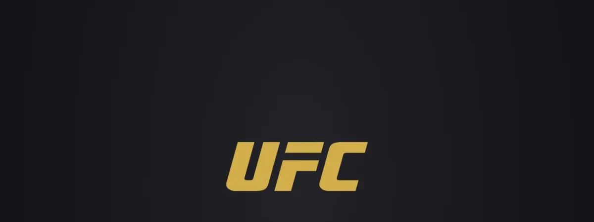 UFC 328