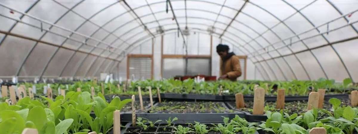Horticulture Volunteer Day