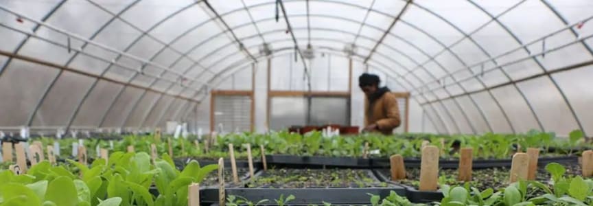 Horticulture Volunteer Day