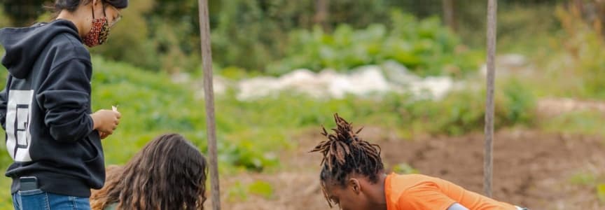Sankofa Community Farm Volunteer Day