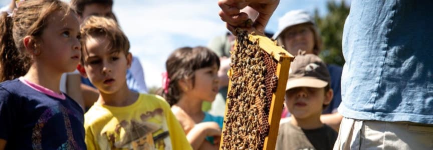 Little Explorers: What’s Buzzing and Blooming?