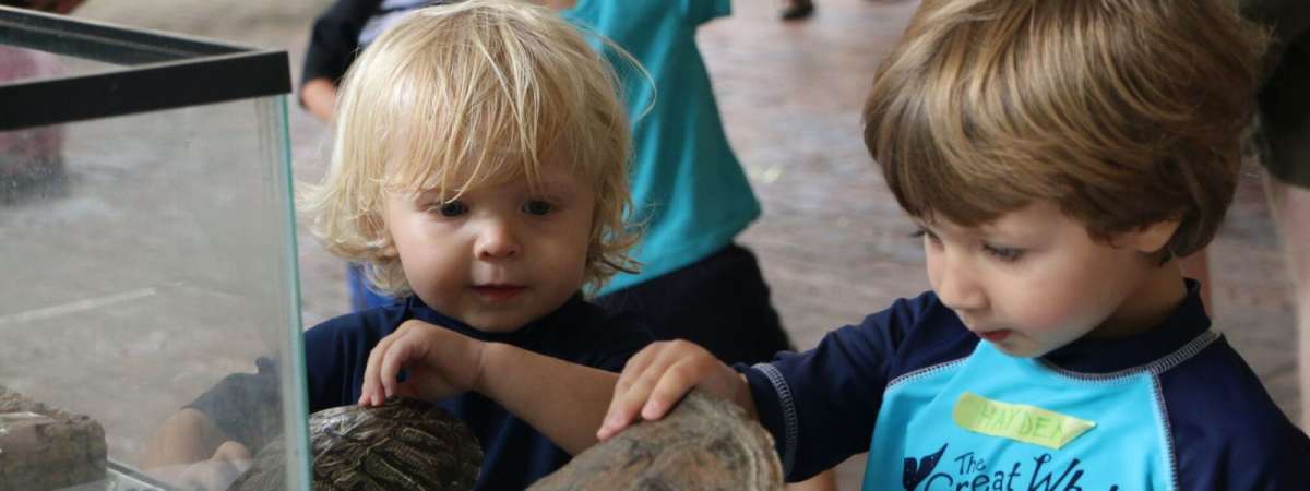 Little Explorers: Destination – Hibernation!