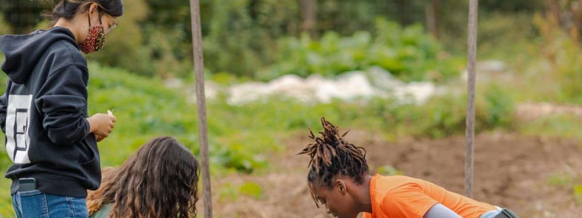 Sankofa Community Farm Volunteer Day