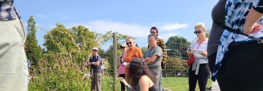 Growing Organic Herbs: A Home Herbalism Workshop