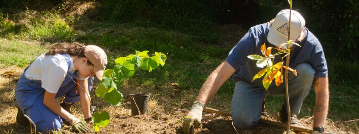 Native Planters