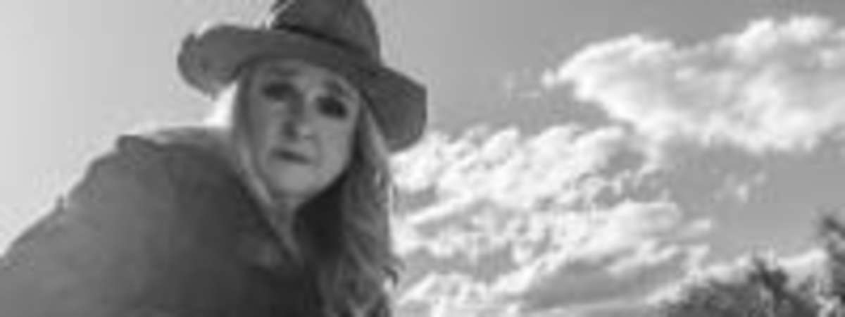 Melissa Etheridge: RISE