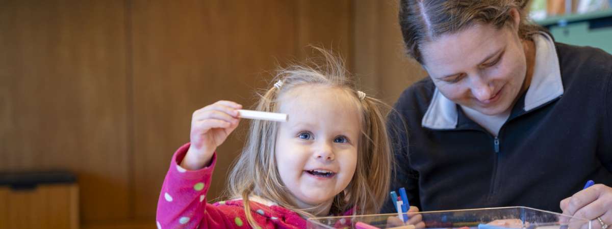 Toddler Studio: Shape Shifters