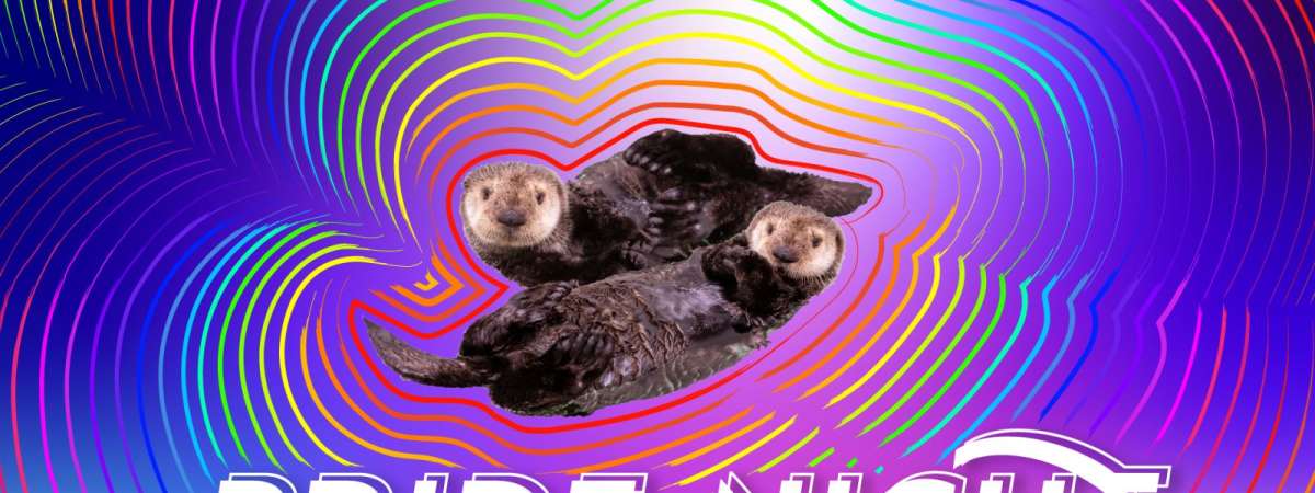 Pride Night at Shedd Aquarium