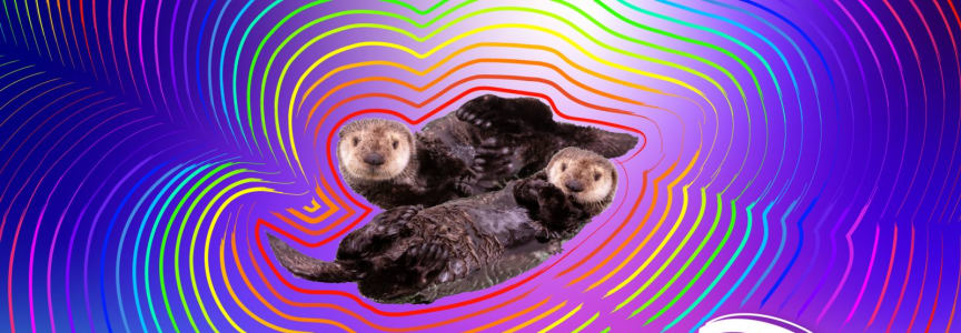 Pride Night at Shedd Aquarium