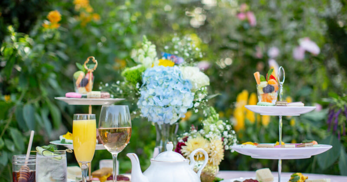 Grazing at the Zoo: Afternoon Tea in Seattle at Woodland Park Zoo