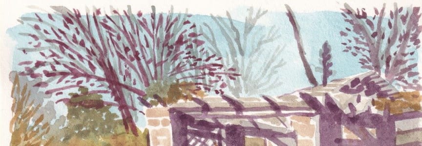 En Plein Air Watercolor: Pollinator Pathway