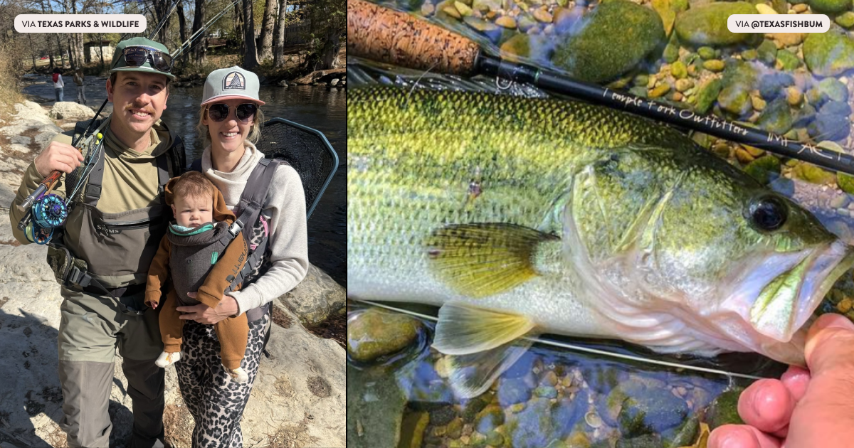 The Best Fishing Spots in Austin