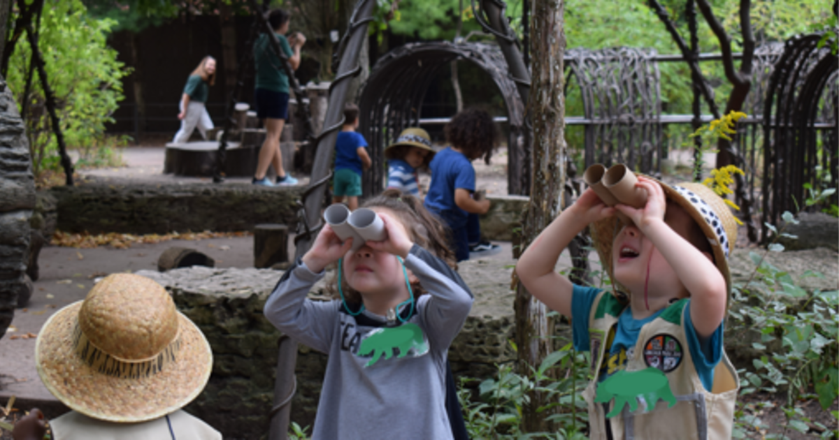 LEAP: Learn, Explore and Play in Chicago at Lincoln Park Zoo