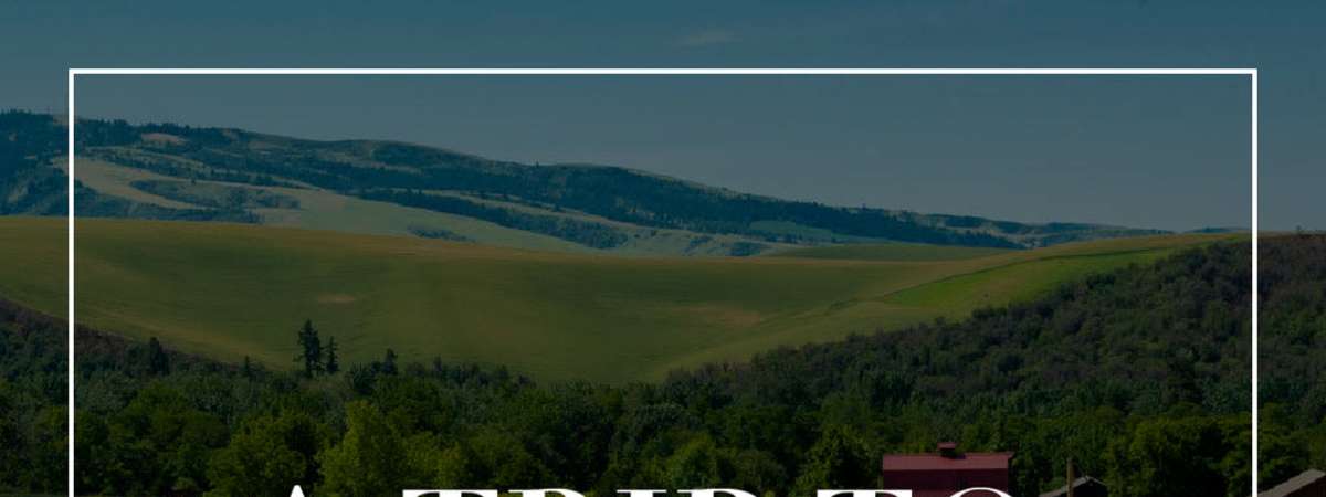 A Trip to Washington