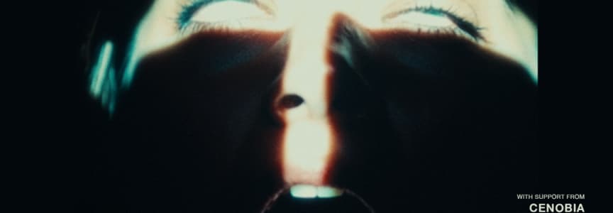 PRESIDENT: North American Campaign 2026, Showing Teeth