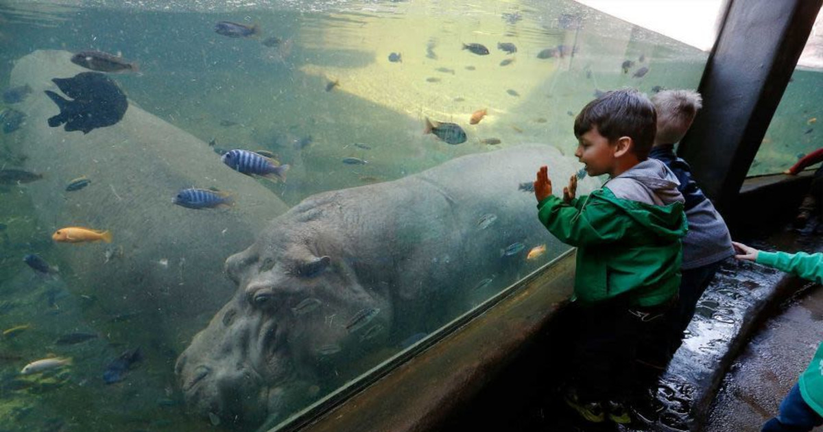 サンアントニオ動物園でのアースデイ