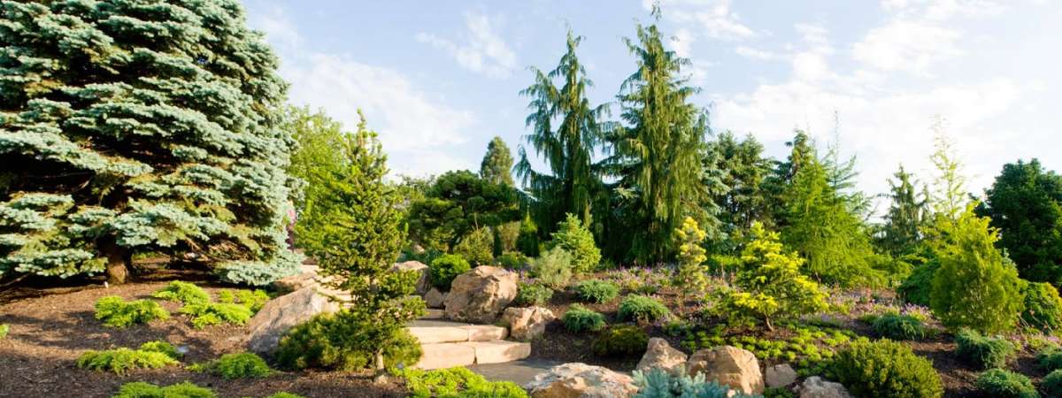 Dwarf Conifer Garden Walk