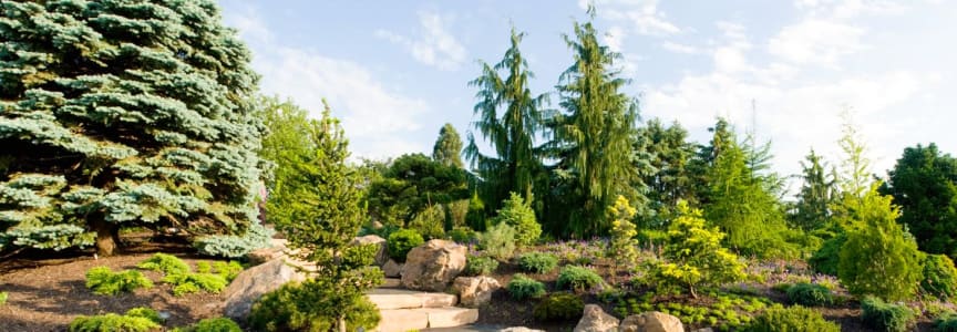 Dwarf Conifer Garden Walk