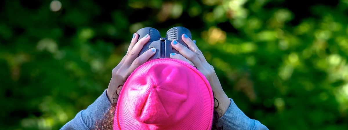 Early Summer Bilingual Bird Walk
