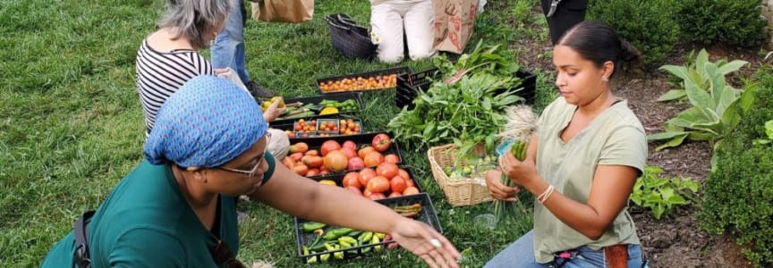 Home Farm Club at Wyck