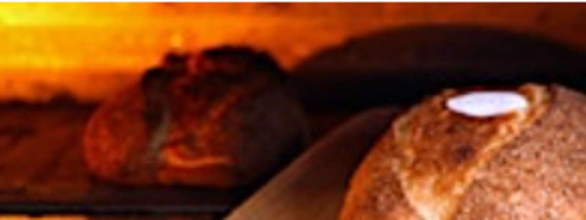 Hands-on Baking 101: Rustic Bread