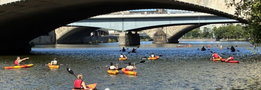 Kayak Tour