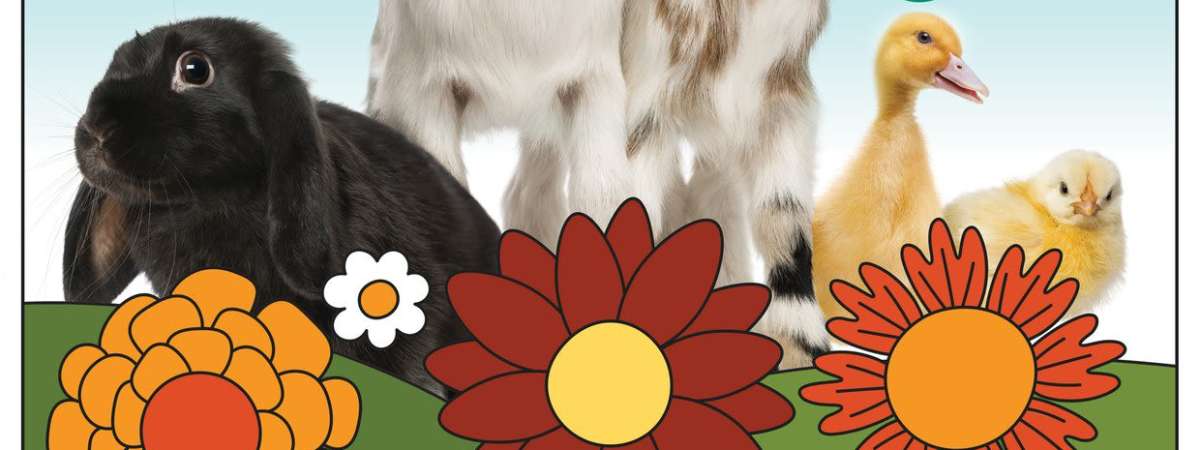 Bucktown Garden Walk: Free Petting Zoo