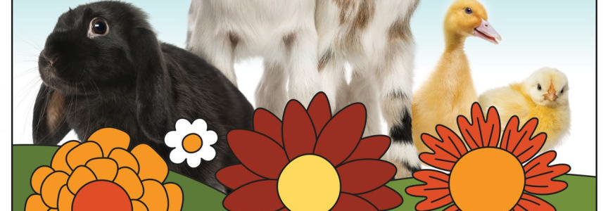 Bucktown Garden Walk: Free Petting Zoo