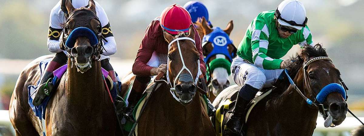 Turf Club Fridays