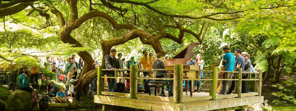 Flower Piano 11th Anniversary