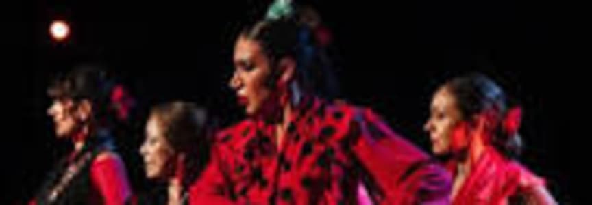 Casa Triana Flamenco