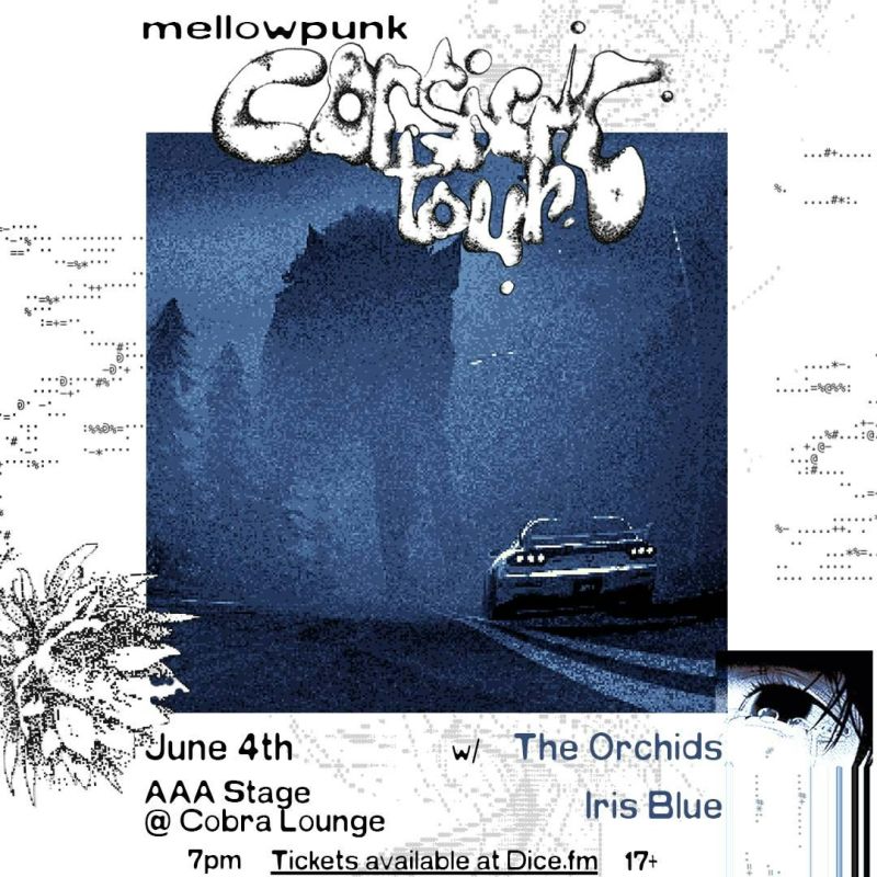 Mellowpunk / The Orchids / Daisi in Chicago at Cobra Lounge