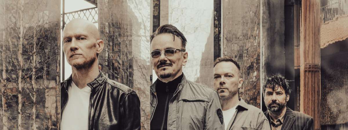The Pineapple Thief