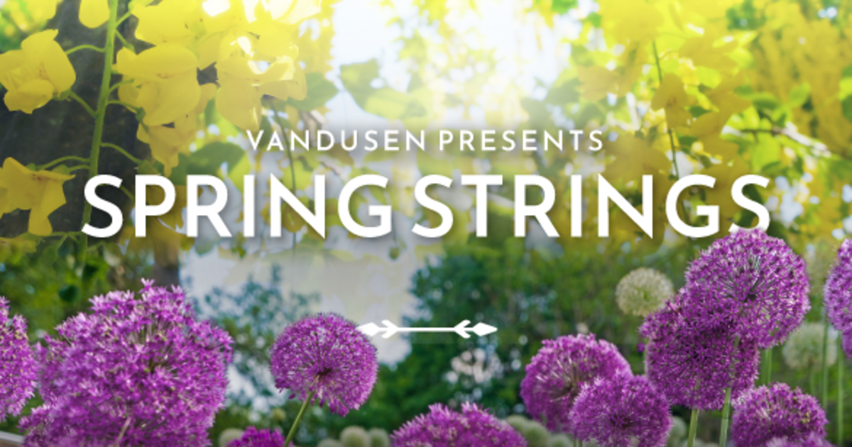 Spring Strings in Vancouver at VanDusen Botanical Gardens