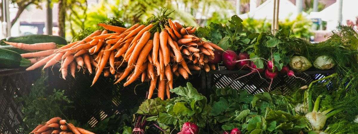 Riley Park Farmers Market - Summer