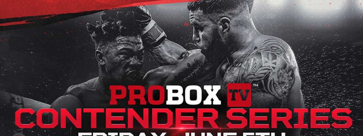ProBox TV Contender Series