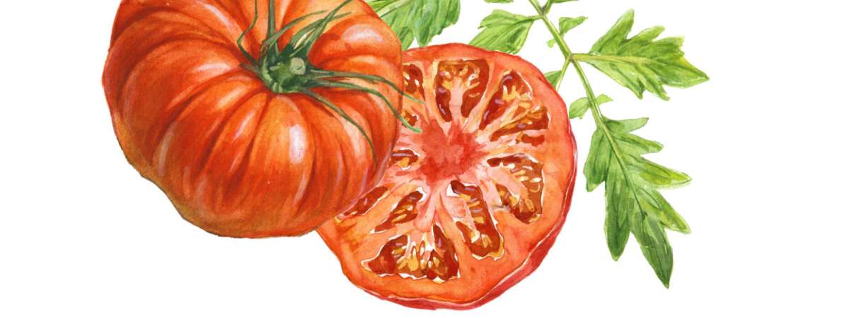 The Tomato Jam