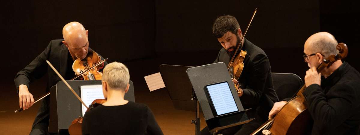 DSO on the Go Chamber Concert