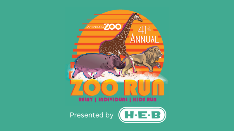 41st Annual Zoo Run, Presented By H E B