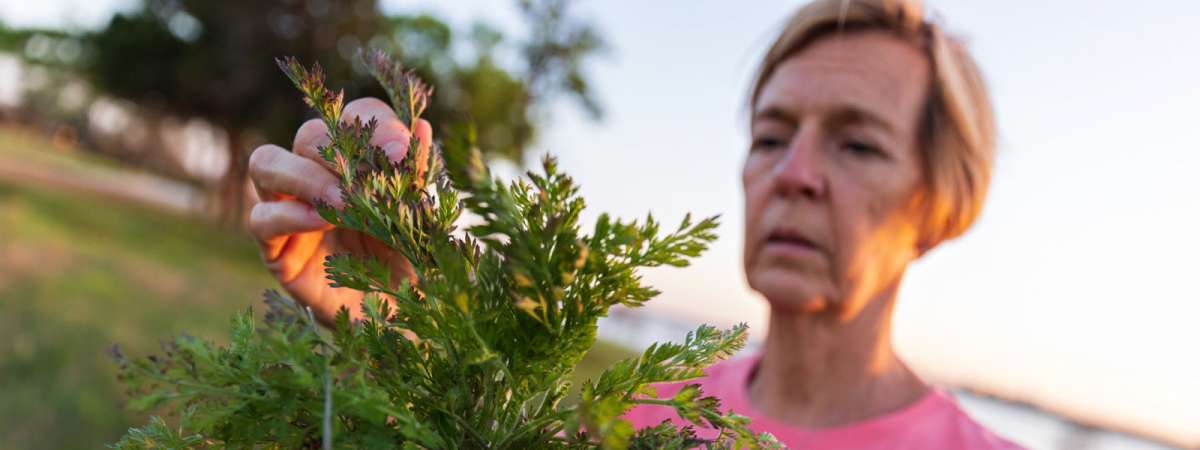Native Plants and Prairies Day