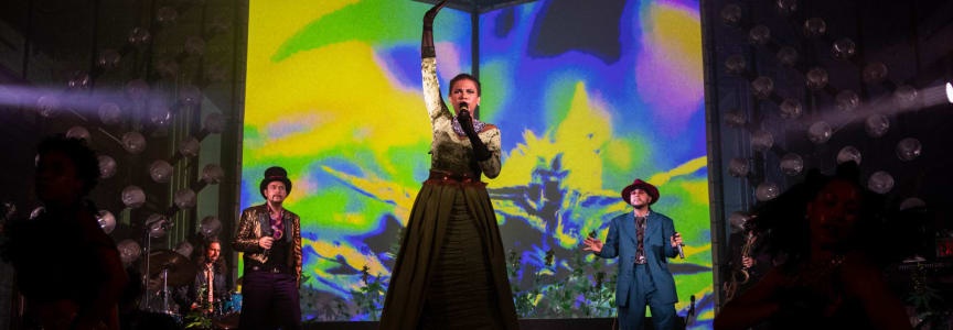 Viper Vaudeville: Plant Of The People