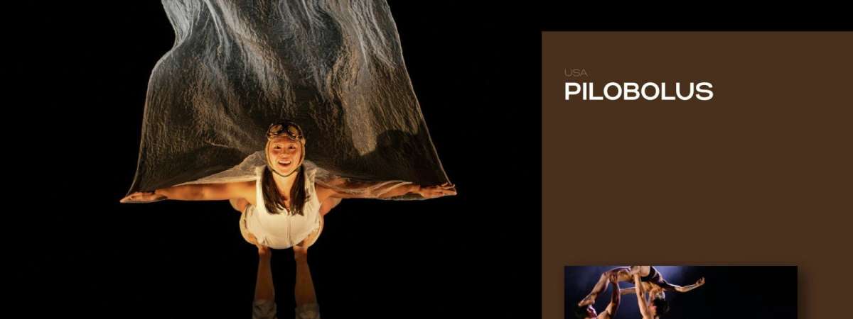 PILOBOLUS (Click For Showtimes)