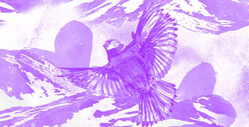 The Mountain That Loved a Bird