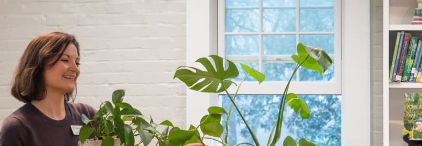 Happy, Healthy Houseplants