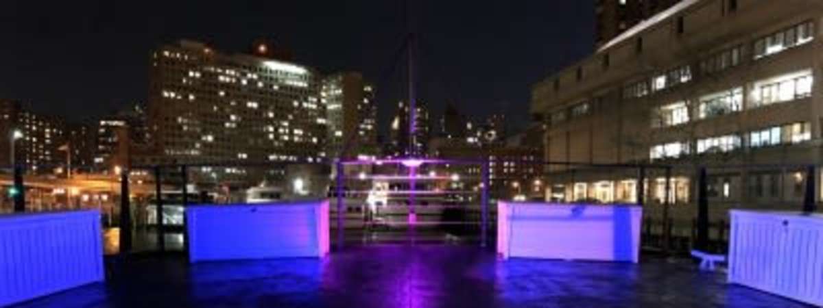 Cosmo NYC New Years Eve Party Cruise