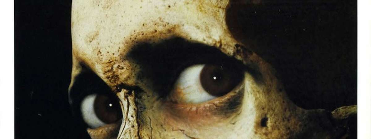 Evil Dead Ii