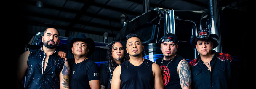 Siggno, Solido y Predilecto