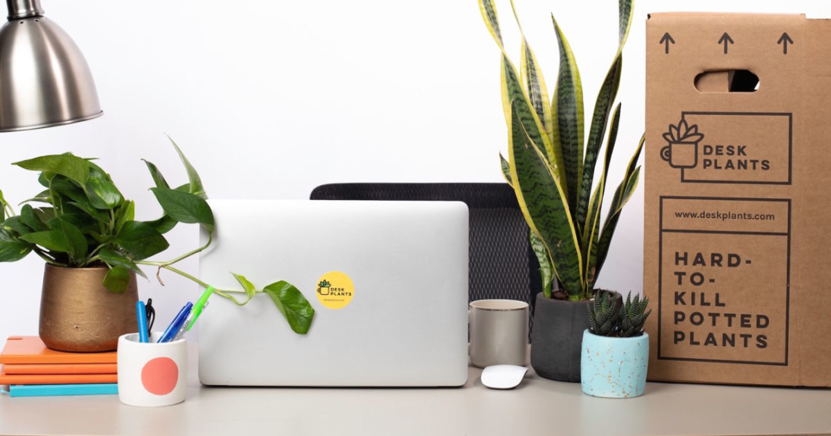 Desk Plants Launch Party in Austin at Desk Plants