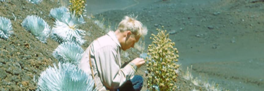 Art in the Garden Tour: Sherwin Carlquist & BRIT Library – August