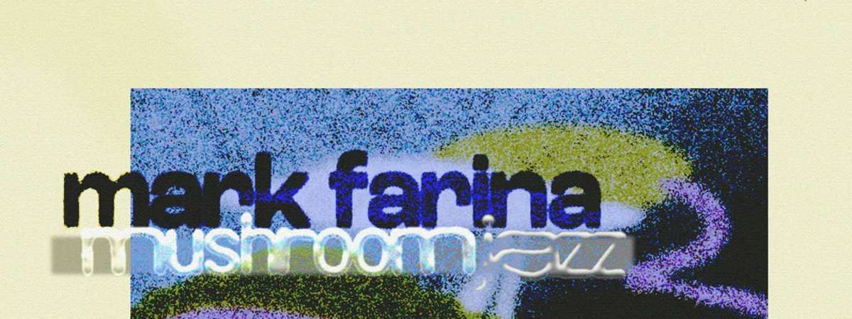 Mark Farina